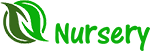 Sakshi Nursery